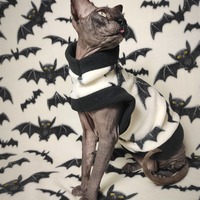 Bats! - Luxe Fleece - Thumbnail 2