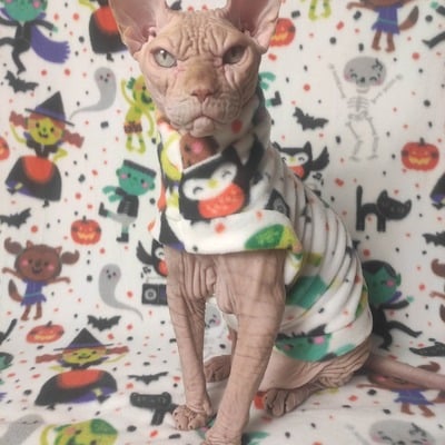 Halloween pawty - luxe fleece