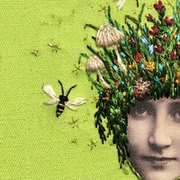 Nightshade - Thumbnail 3