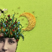 Nightshade - Thumbnail 4