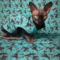 Sphynx Coven - Thumbnail 2