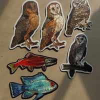  Fish magnets - Thumbnail 1
