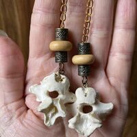 🦴Vertebrae Earrings🦴 - Thumbnail 1