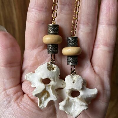 🦴vertebrae earrings🦴
