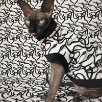 SSSSSSSnakes - Thumbnail 2