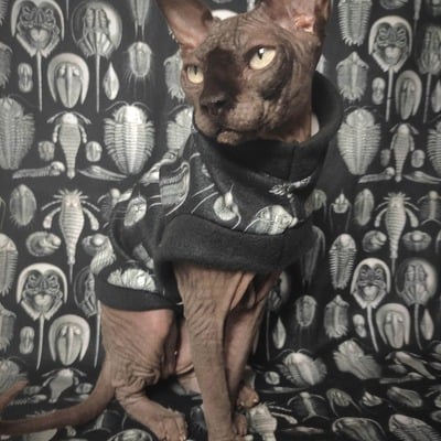 Trilobites - fleece - Thumbnail 1