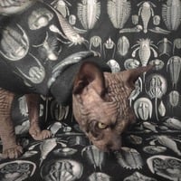 Trilobites - Fleece - Thumbnail 1