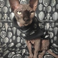 Trilobites - Fleece - Thumbnail 2