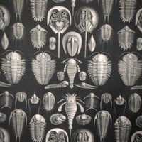 Trilobites - Fleece - Thumbnail 3
