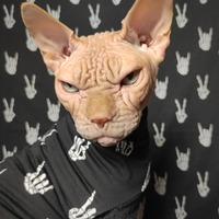 ✌🏻🤘🏻 - Thumbnail 1