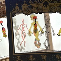 QUASI BODY Screen Print - Thumbnail 2