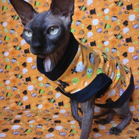 I Want Candy! (Orange) - Thumbnail 2