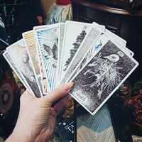 The Wild Unknown Tarot Deck and Guidebook - Thumbnail 3