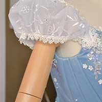 Cinderella Princess Dress Cosplay Costume - Thumbnail 4
