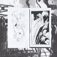 The Lizard Aspect - Thumbnail 1