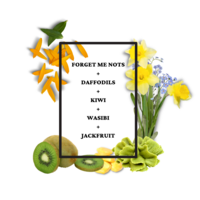 Thrive Wash  - Thumbnail 1