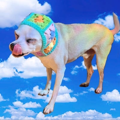 Small dog balaclava (custom order)