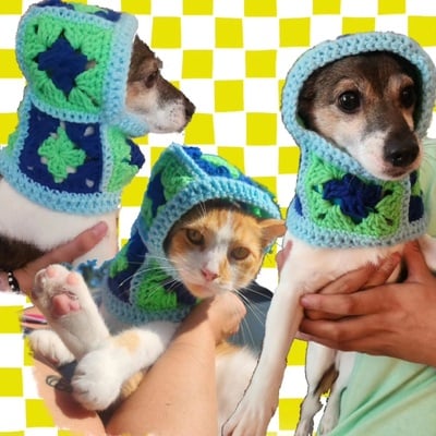 Small blue/green pet balaclava