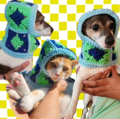 Small Blue/Green Pet Balaclava