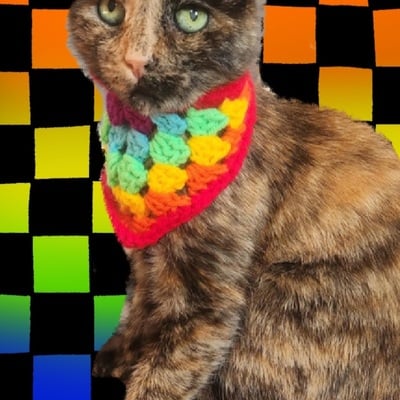 Small pet bandana (custom color)