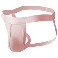 2PK Gay men's sexy underwear mesh gauze pouch cut-out butt-lifter underpants double thong G6004-SD - Thumbnail 5