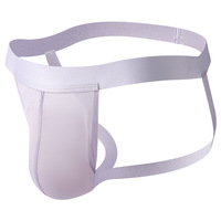 2PK Gay men's sexy underwear mesh gauze pouch cut-out butt-lifter underpants double thong G6004-SD - Thumbnail 6