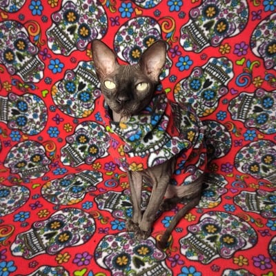 Dia de los muertos (red)  - fleece