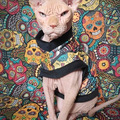 Sugar skull surprise