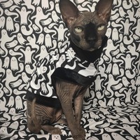 Scared Ghosts - Thumbnail 1