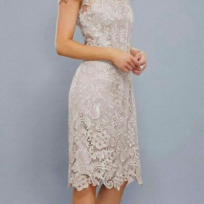 Champagne mother of bride/ groom dress tea-length lace evening formal gowns prom dress