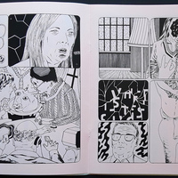 La Victoire Électorale - Thumbnail 1