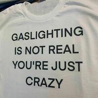 Free Shipping-GASLIGHTING IS NOT REAL YOU'RE JUST CRAZY TEE - Thumbnail 1