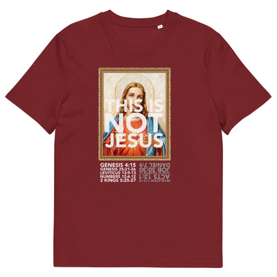 Big tin jesus scriptures unisex organic cotton t-shirt