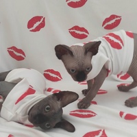 Kissing Booth - Sleepwear - Thumbnail 2