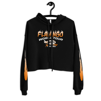 2f racing cropped hoodie (black)