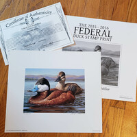 ON SALE Collector's Edition, Artist's Proof (UNFRAMED) - Thumbnail 1