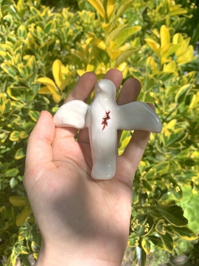 wound bird 1