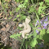 sleeping angel serpent - Thumbnail 1