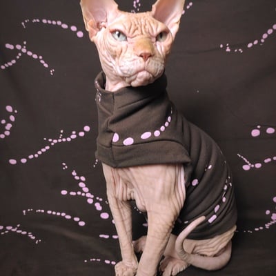 Unicorn blood splatter yeezus