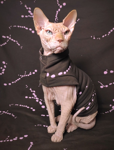 Unicorn Blood Splatter Yeezus