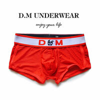 Back Zipper Gay Mens Sexy D.M Underwear Perforated Mesh Holes Boxer Briefs Underpants Red - Thumbnail 1