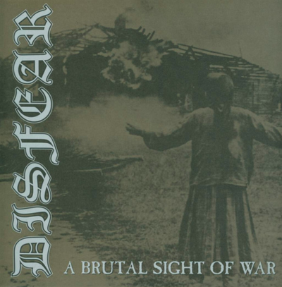  Disfear ‎– A Brutal Sight Of War 
