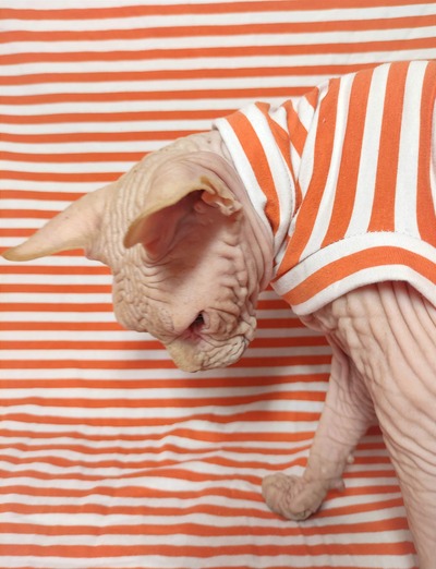 Pumpkin Stripe - Sleepwear