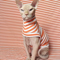 Pumpkin Stripe - Sleepwear - Thumbnail 2