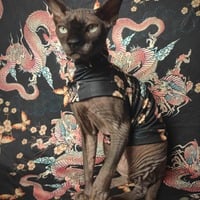 Japanese Dragon - Sleepwear - Thumbnail 1