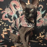 Japanese Dragon - Sleepwear - Thumbnail 2