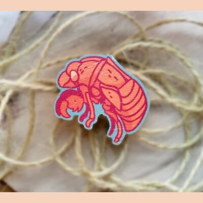Cicada shell - wooden pin - Thumbnail 2