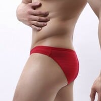 2PK Brave Person mesh gauze Men's sexy underwear low-rise quick-dry sheer pouch briefs underpants Red BR1124 - Thumbnail 5