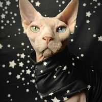 Starry Skies - Sleepwear - Thumbnail 2