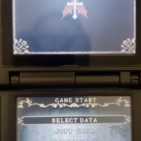 Castlevania Order of Ecclesia Nintendo DS Video Game Cartridge 2008 - Thumbnail 10